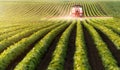 Tractor spraying pesticides at soy bean field Royalty Free Stock Photo