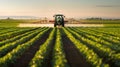 Tractor spraying pesticides at soy bean field. Royalty Free Stock Photo