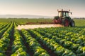 Tractor spraying pesticides at soy bean fields Royalty Free Stock Photo
