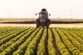 Tractor spraying pesticides on soybean field with sprayer at spring Royalty Free Stock Photo