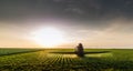 Tractor spraying pesticides on soybean field with sprayer at spring Royalty Free Stock Photo