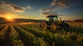 Tractor spraying pesticides on soybean field at sunset Royalty Free Stock Photo