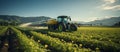 Tractor spraying pesticides on sunflower field with sprayer at spring Royalty Free Stock Photo