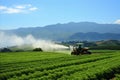 Tractor spraying pesticides on vegetable field for crop protection and pest prevention