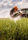 Tractor spraying pesticides wheat field Royalty Free Stock Photo