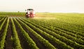 Tractor spraying soy field in sunset Royalty Free Stock Photo