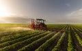 Tractor spraying soy field in sunset Royalty Free Stock Photo
