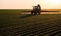 Tractor spraying soybean crops field Royalty Free Stock Photo