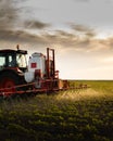 Tractor spraying soybean crops field Royalty Free Stock Photo