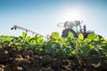 Tractor spraying soybean crops with pesticides and herbicides.