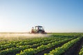 Tractor spraying Royalty Free Stock Photo