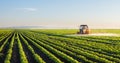 Tractor spraying soybean field Royalty Free Stock Photo