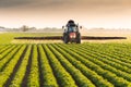 Tractor spraying soybean field at spring Royalty Free Stock Photo