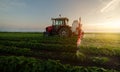 Tractor spraying soybean field in sunset Royalty Free Stock Photo