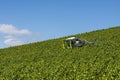 Tractor Spraying Vines in Vineyard