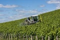 Tractor Spraying Vineyard in Champagne