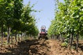 Tractor spraying vineyard Royalty Free Stock Photo