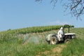 Tractor spraying vineyard Royalty Free Stock Photo