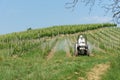 Tractor spraying vineyard Royalty Free Stock Photo