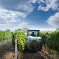 Tractor spraying vineyards with chemicals Royalty Free Stock Photo