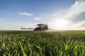 Tractor spraying wheat in field