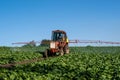 Pesticide sprayer tractor field farmer vegetables cabbage harvest greens Royalty Free Stock Photo