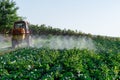 Pesticide sprayer tractor field farmer vegetables cabbage harvest greens Royalty Free Stock Photo