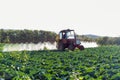 Pesticide sprayer tractor field farmer vegetables cabbage harvest greens Royalty Free Stock Photo