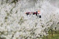 Tractor sprays insecticide in apple orchard field