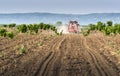 Tractor sprays insecticide in cherry orchard in spring Royalty Free Stock Photo