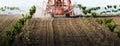 Tractor sprays insecticide in cherry orchard in spring Royalty Free Stock Photo