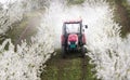 Tractor Sprays Insecticide In Cherry Orchard In Spring