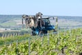 Tractor sprinkles young shoots of grapes on premier cru champagne vineyards in village Hautvillers near Epernay, Champange, France