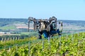 Tractor sprinkles young shoots of grapes on premier cru champagne vineyards in village Hautvillers near Epernay, Champange, France