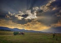 Tractor at sunset