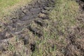 Tractor Tire Tracks in Field with Mud and Grass