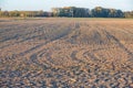 Tractor tire marks on the cultivated farmland Royalty Free Stock Photo