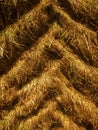 Tractor tire tracks in dry grass Royalty Free Stock Photo