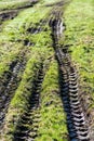 Tractor tire tracks in green grass Royalty Free Stock Photo