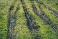 Tractor tire tracks in green grass - vintage retro look Royalty Free Stock Photo