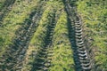 Tractor tire tracks in green grass - vintage retro look Royalty Free Stock Photo