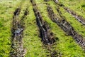 Tractor tire tracks in green grass Royalty Free Stock Photo