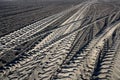 tractor tire tracks prints on beach sand Royalty Free Stock Photo