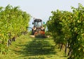 Tractor towing a grass cutting machine among rows of a vineyard Royalty Free Stock Photo
