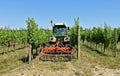 Tractor towing a grass cutting machine among rows of a vineyard Royalty Free Stock Photo