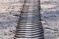 Tractor traces in ground, track of a tractor on a bare soil, footprint of a car on dirt or mud Royalty Free Stock Photo