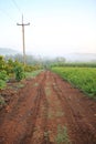 Tractor Traces on muddy road Royalty Free Stock Photo