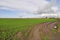 Tractor track on farm field Royalty Free Stock Photo