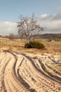 Tractor tracts on farm near Redelinghuys in South Africa