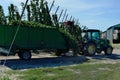 Tractor trailer loaded with hops `humulus lupulus` during septemeber harvest time